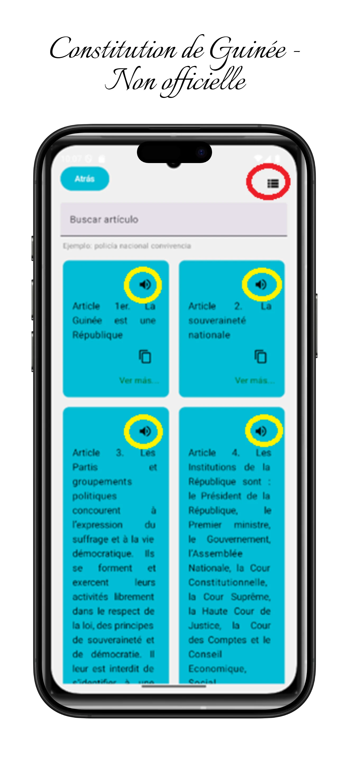 Constitution de Guinée screenshot